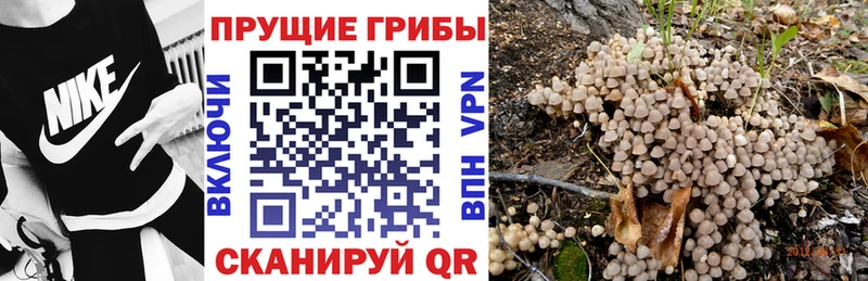 Галлюциногенные грибы мухоморы  где продают   Балашов 